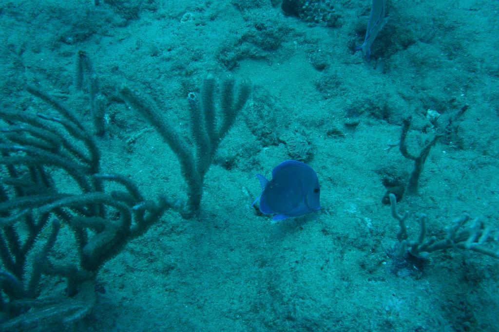 2008-05-17 15-21-55 H.JPG
